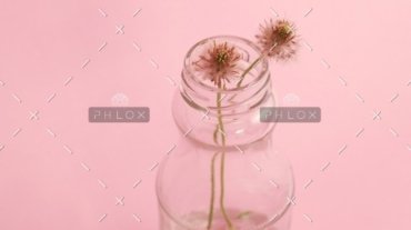 portfolio 5